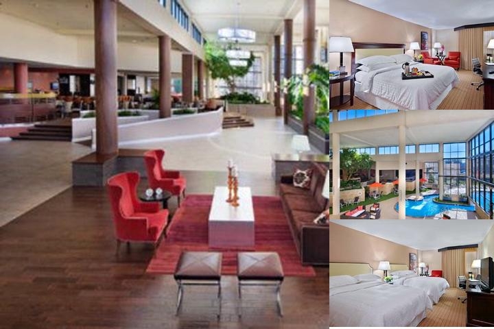 Sheraton Charlotte Airport Hotel photo collage