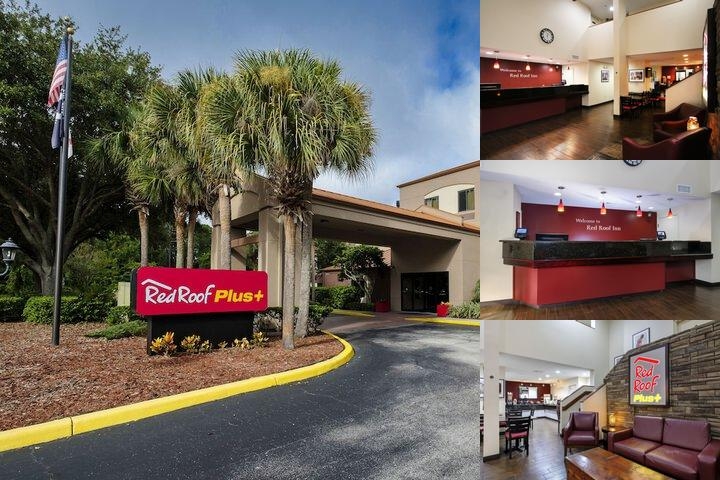 Red Roof Inn PLUS+ Palm Coast photo collage
