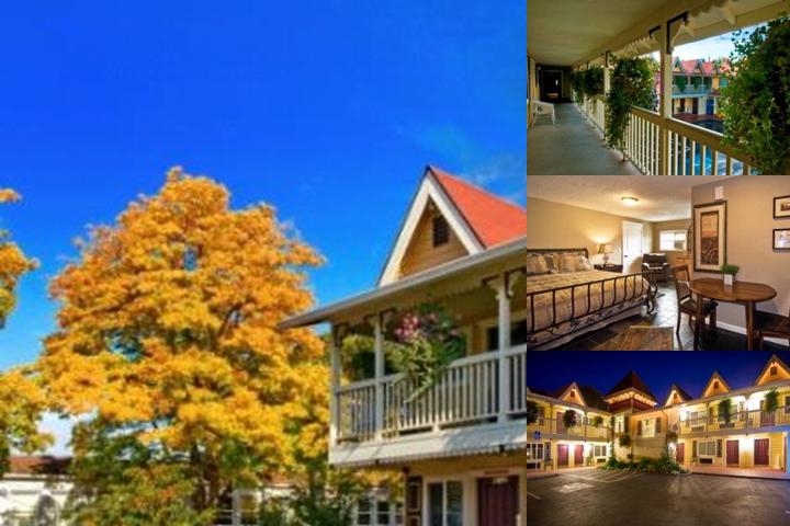 Silverton Inn & Suites photo collage