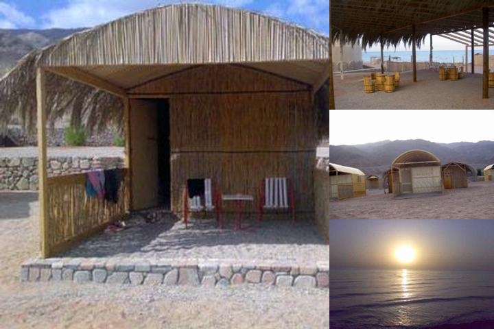 Barracuda Camp photo collage
