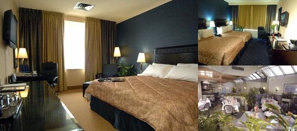 Lelux Hotel photo collage