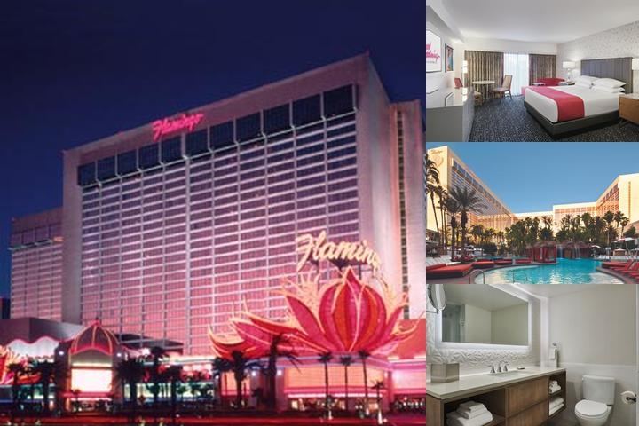 Flamingo Las Vegas Hotel & Casino photo collage