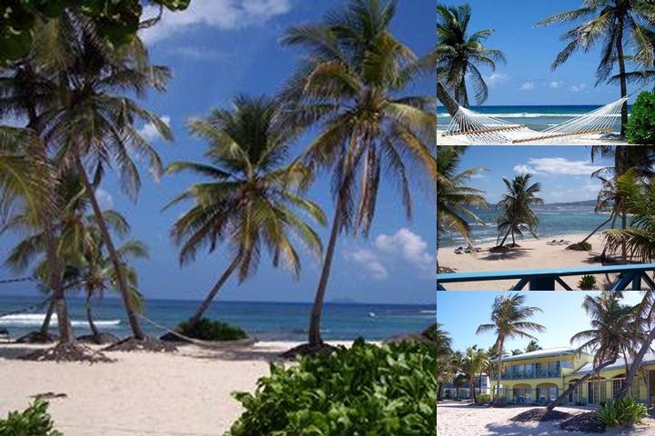 Hibiscus Beach Resort photo collage