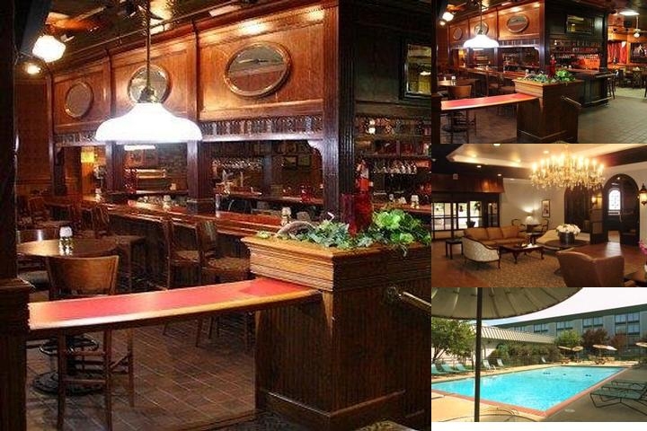 The Cedar Hotel photo collage