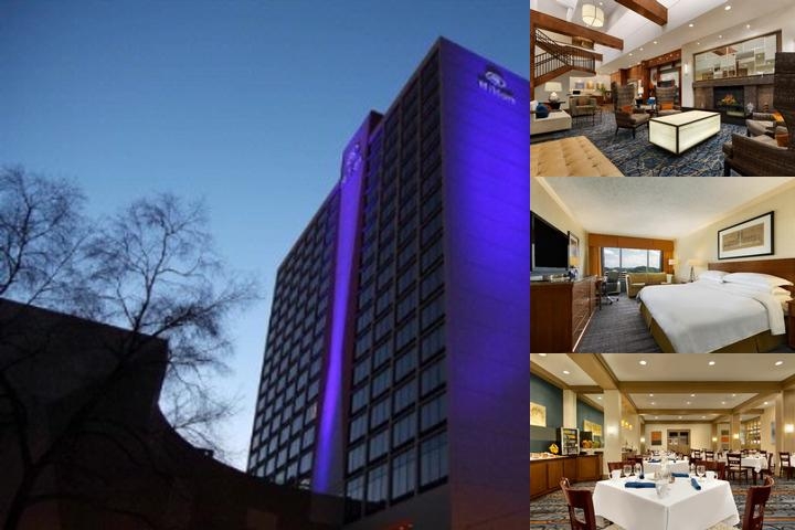 Hilton Knoxville photo collage