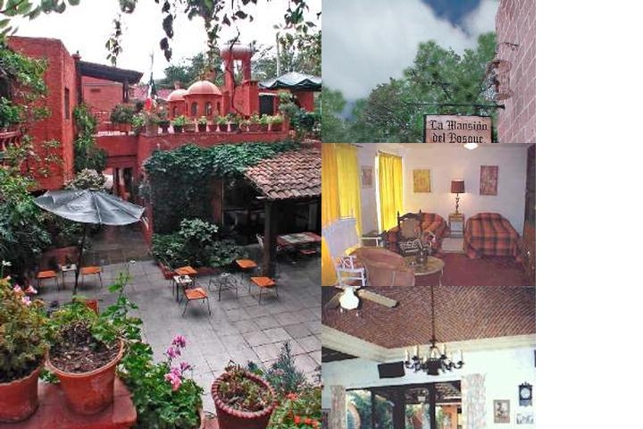 Hotel La Mansion Del Bosque photo collage