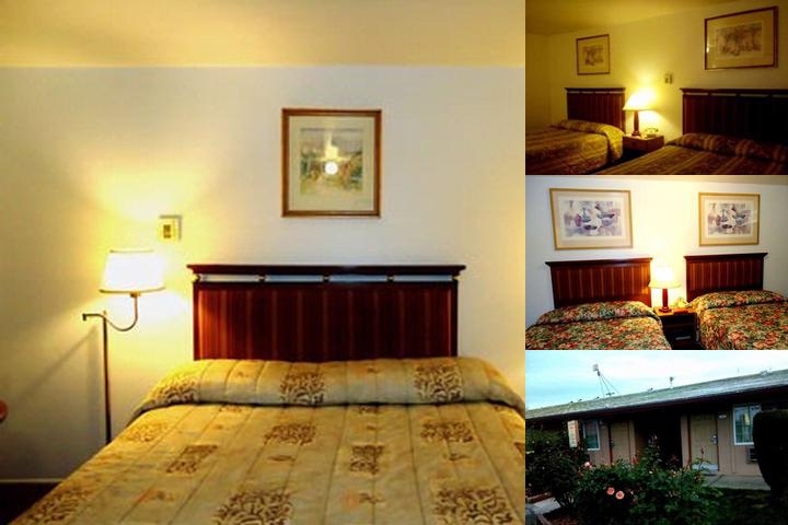 Maple Inn & Suites photo collage