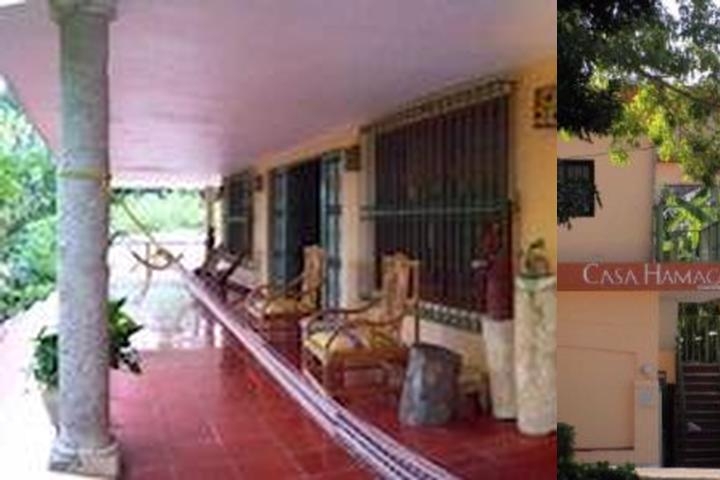 Casa Hamaca Guesthouse photo collage
