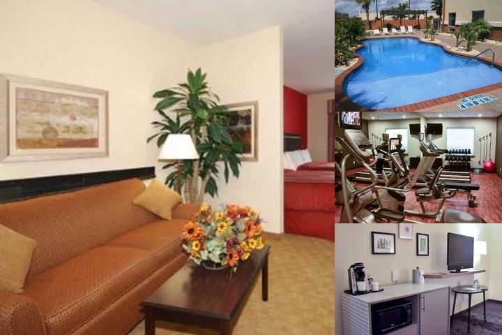 Holiday Inn Brownsville, an IHG Hotel photo collage