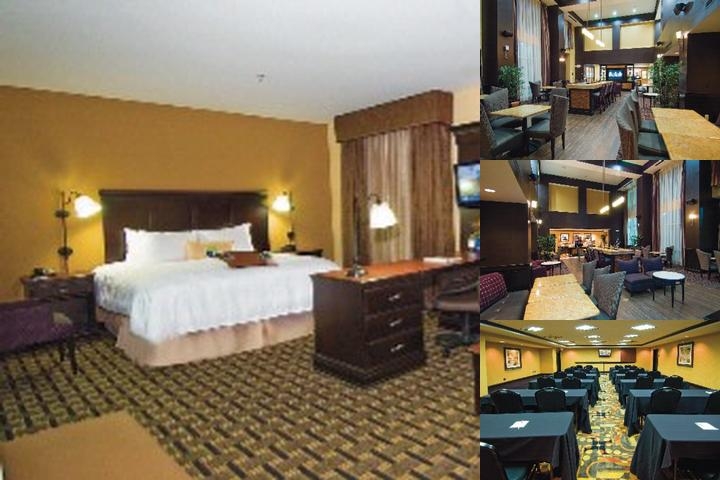 Hampton Inn & Suites Palestine photo collage
