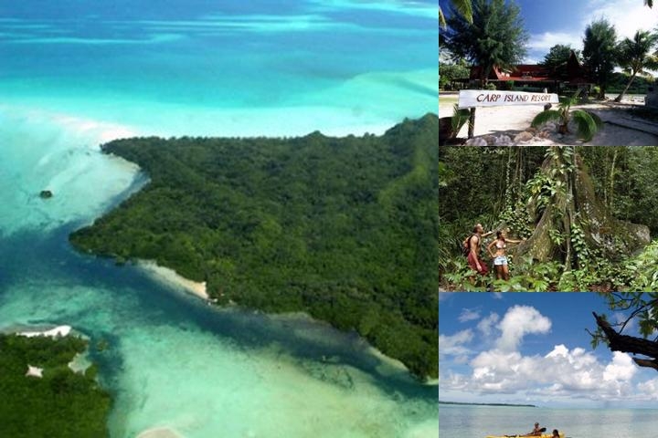 Carp Island Resort / Palau Diving Center photo collage