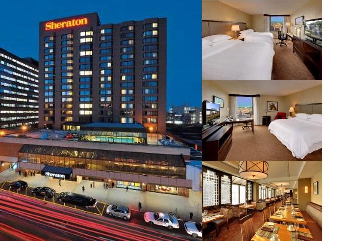 Sheraton Hamilton Hotel photo collage