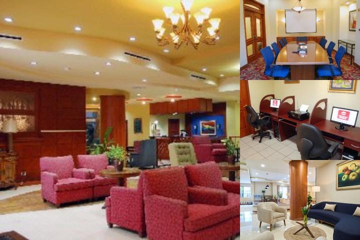 Suites Las Palmas, Hotel & Apartments photo collage