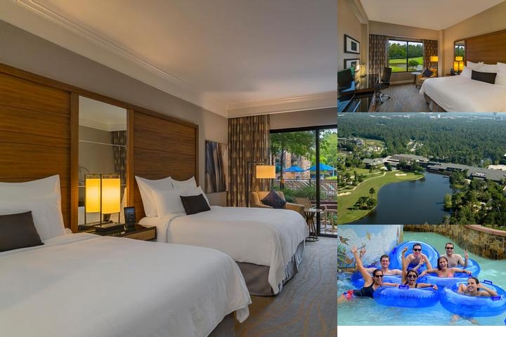 The Woodlands Resort, Curio Collection by Hilton photo collage
