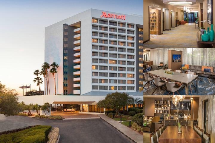 Marriott Tampa Westshore photo collage