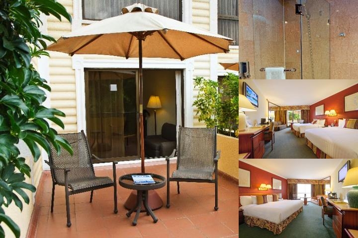 Hotel Barcelo San Jose Palacio. photo collage