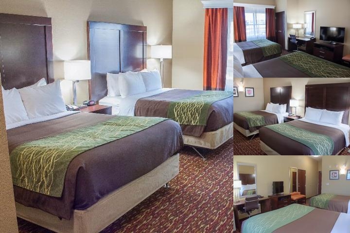 Comfort Inn & Suites Artesia photo collage