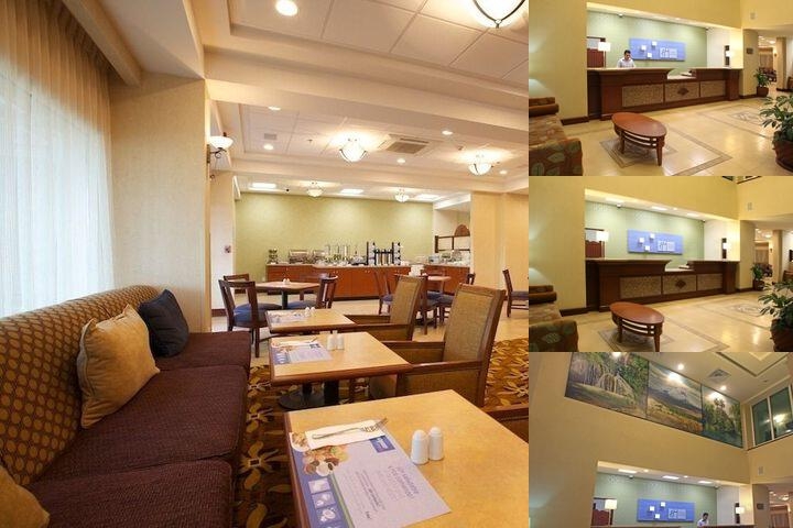 Holiday Inn Express Hotel & Suites Cuernavaca, an IHG Hotel photo collage