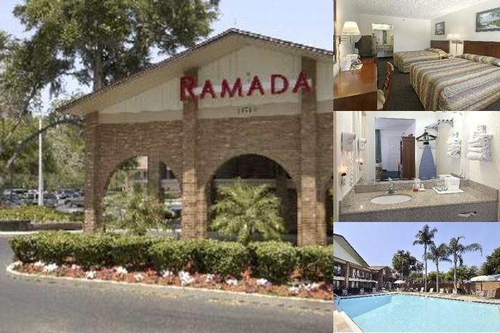 Ramada by Wyndham Temple Terrace / Tampa North photo collage