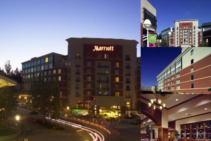 Seattle Marriott Redmond photo collage