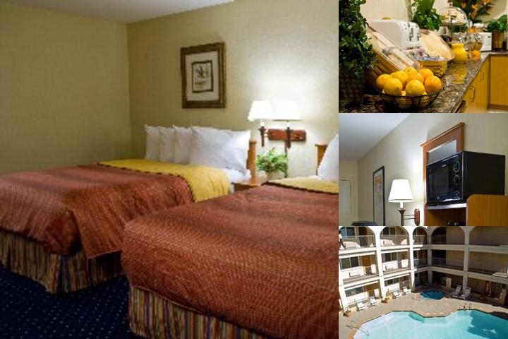 Best Western San Diego/Miramar Hotel photo collage