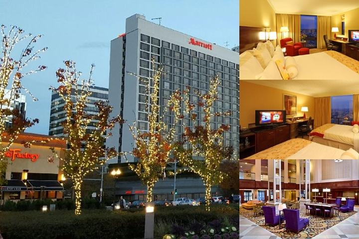 Stamford Marriott Hotel & Spa photo collage