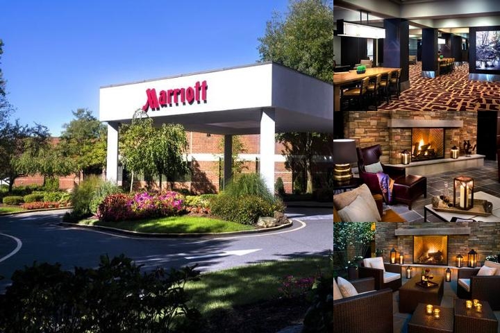 Trumbull Marriott Shelton photo collage