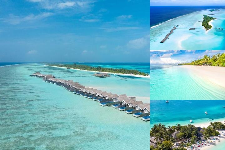 Lux South Ari Atoll photo collage