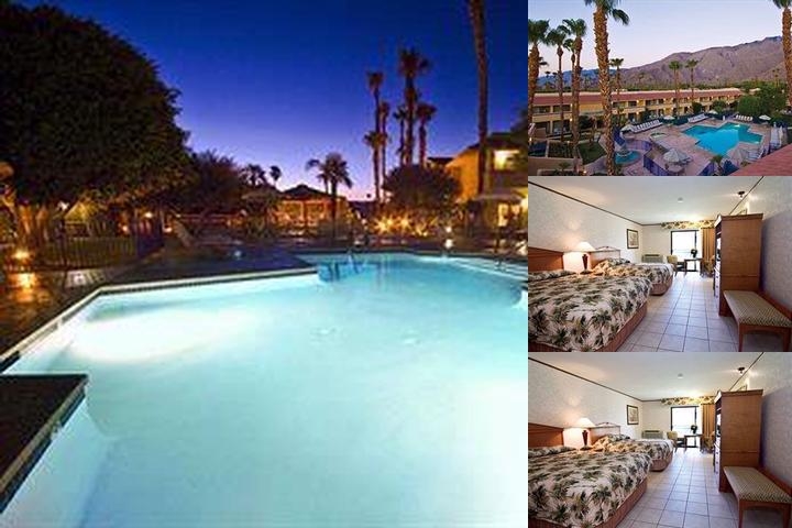 The Garden Vista Hotel Palm Springs photo collage