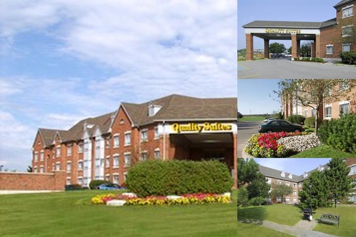 Quality Suites Whitby photo collage
