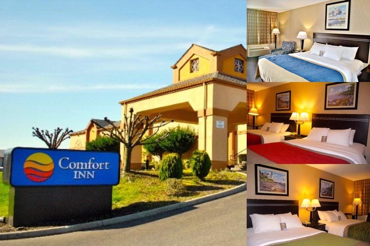 Comfort Inn on the Bay photo collage