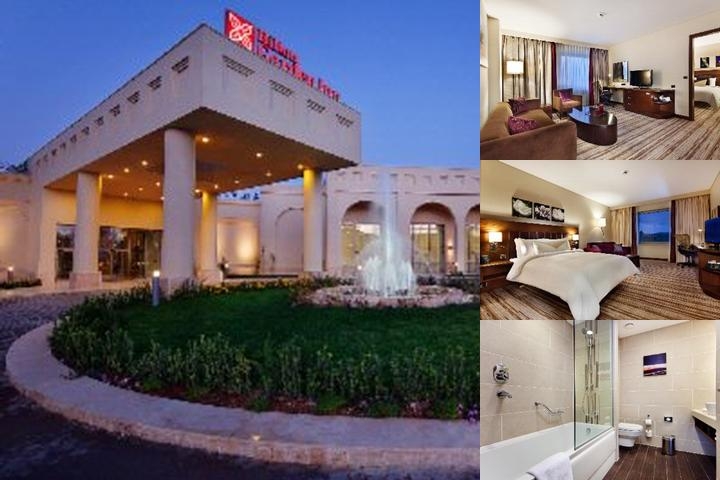 Hilton Garden Inn Mardin photo collage