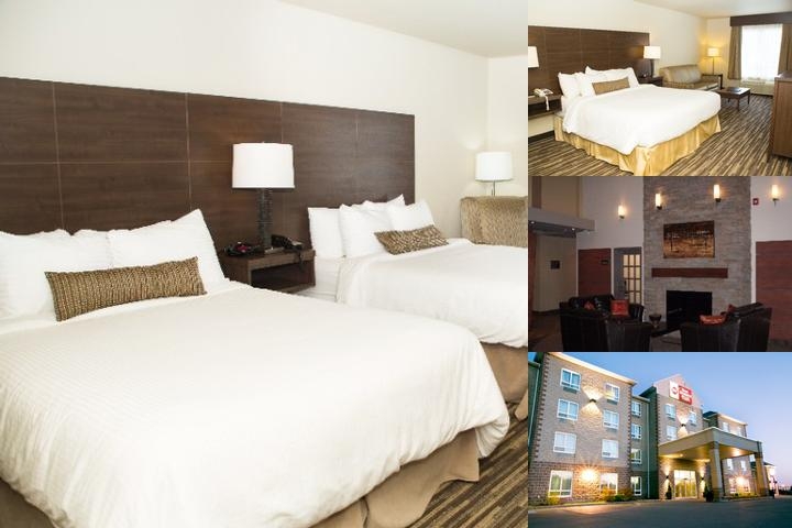 Best Western Plus Dartmouth Hotel & Suites photo collage