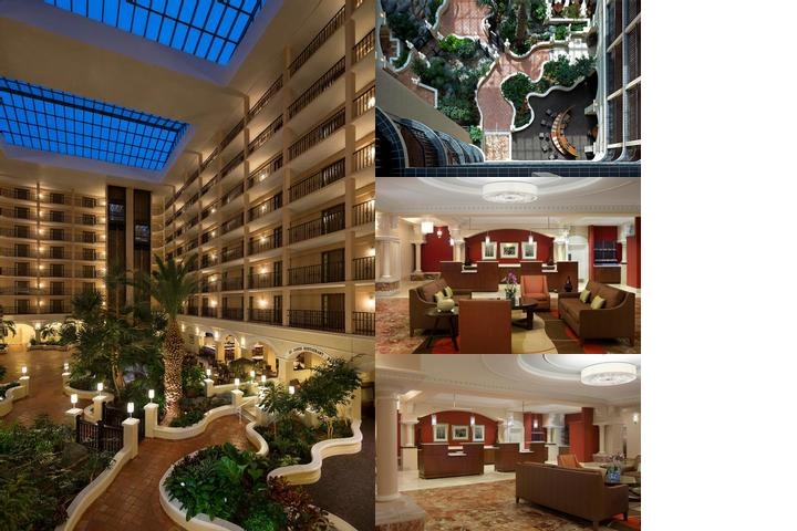 Four Points by Sheraton Suites Tampa Airport Westshore photo collage