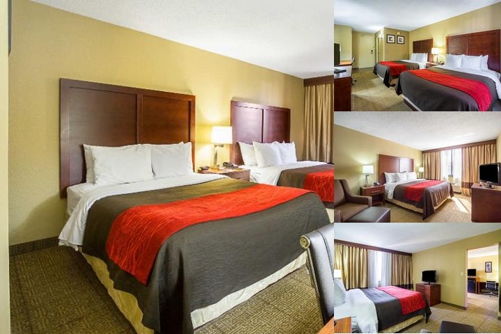 Comfort Inn Downtown photo collage