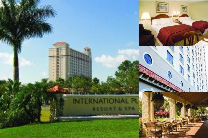 International Plaza Resort & Spa photo collage