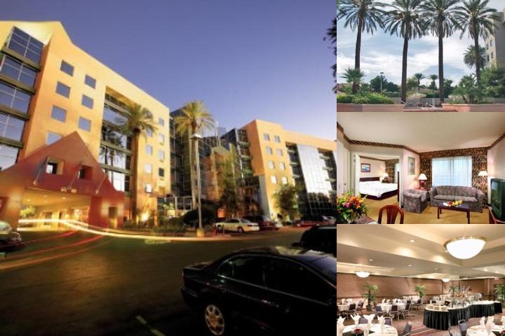 Atrium Suites Hotel photo collage