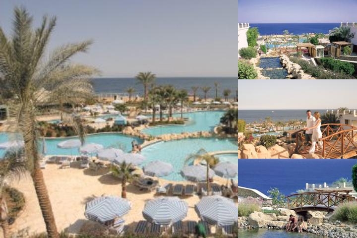 Hilton Sharm Waterfalls Resort photo collage