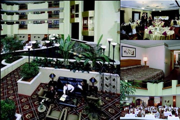Embassy Suites by Hilton Atlanta Alpharetta photo collage