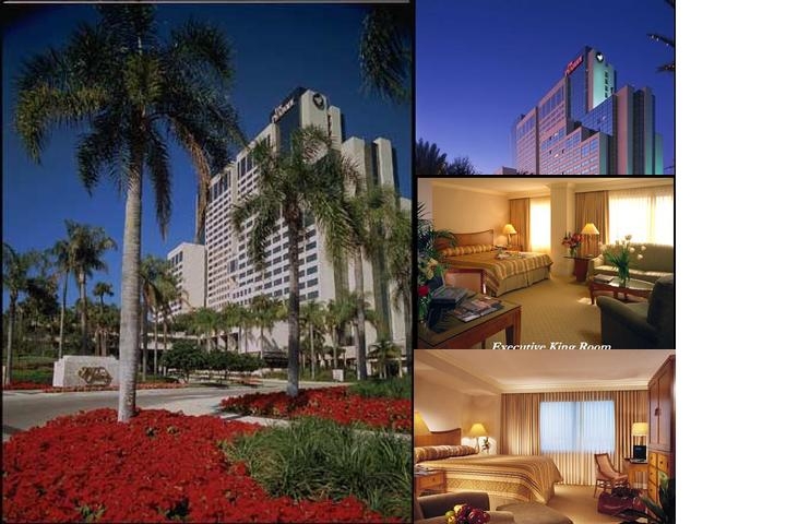 Hyatt Regency Orlando photo collage