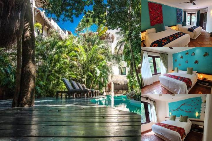 La Tortuga Hotel & Spa - Adults Only photo collage