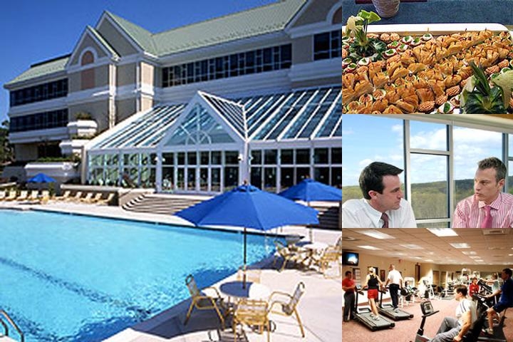 Pocmont Resort photo collage