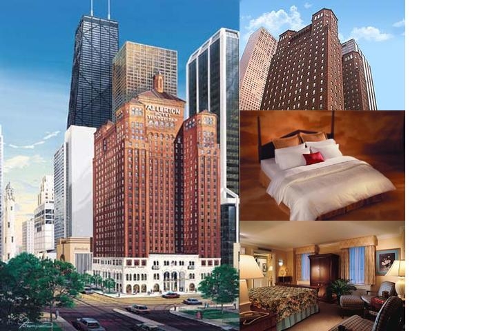 The Allerton Chicago photo collage
