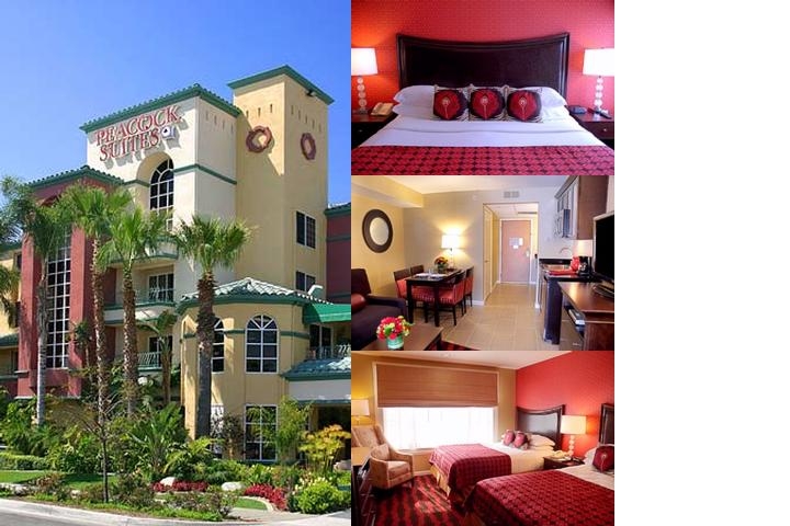 Peacock Suites photo collage