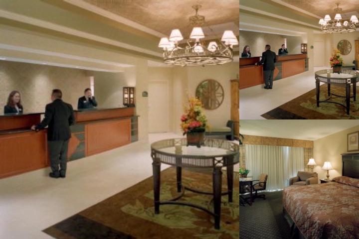 Holiday Inn Billy Graham Parkway Hotel photo collage