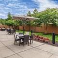 Image of Courtyard by Marriott Newport News Airport