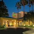 Image of Courtyard by Marriott Orlando International Dr / Conv Cntr