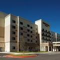 Image of Courtyard by Marriott San Antonio Six Flags at The Rim
