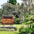 Image of Kilauea Lodge