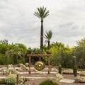 Image of Miraval Resort & Spa - Adults Only All Inclusive
